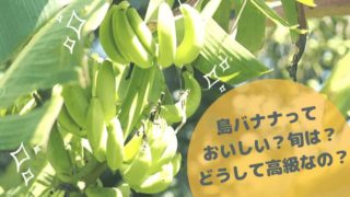 島バナナ表紙