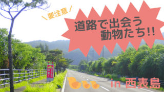 道路アイキャッチ