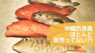 魚ひょうし