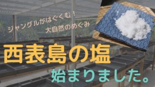 西表島の塩