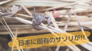 さそり