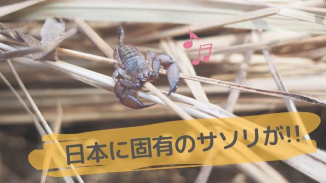さそり