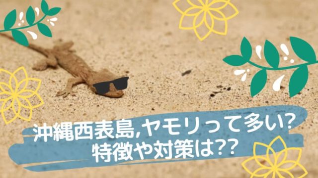 ヤモリ表紙