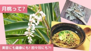 月桃表紙訂正