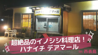 ハナイチ表紙