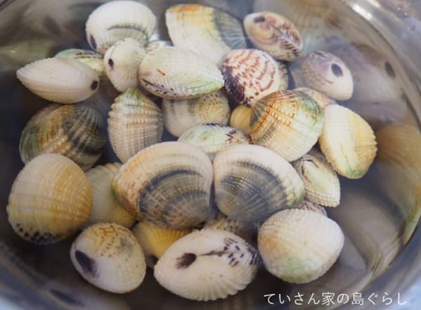 西表島の貝を食べたい 八重山にもアサリはあるの 食べれるの ていさん家の島ぐらし 沖縄西表島情報