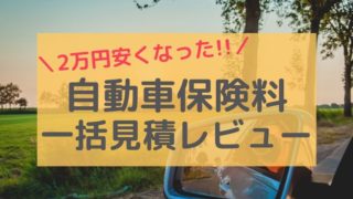 自動車保険安くしたい