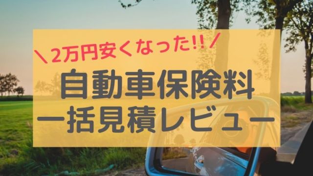 自動車保険安くしたい