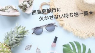 西表島への持ち物