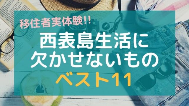 西表島生活に欠かせないもの