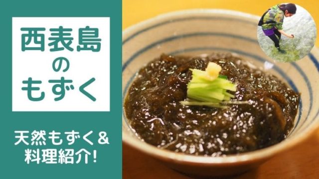 西表島の天然もずく