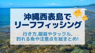西表島リーフフィッシング