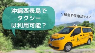 西表島タクシー料金と予約