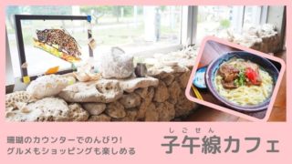 子午線カフェ