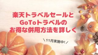 楽天セール11月GoTo併用