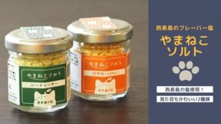 やまねこソルト使い方と販売店