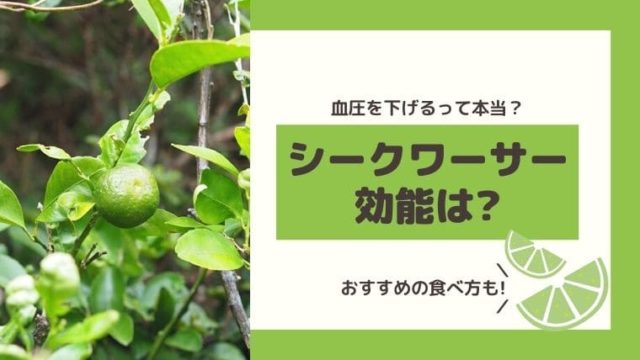 シークワーサー血圧効果