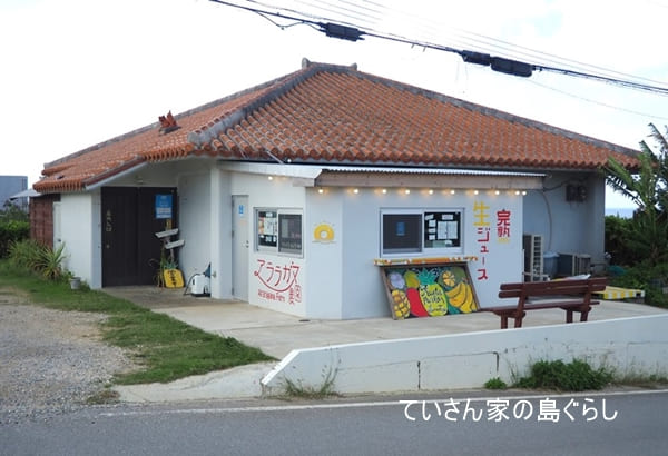 いるむてぃや