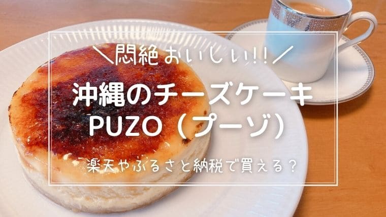 1074円 人気No.1 濃厚かぼちゃチーズケーキ 送料込 チーズケーキ専門店 PUZO