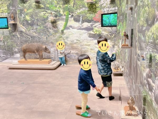 野生生物保護センター